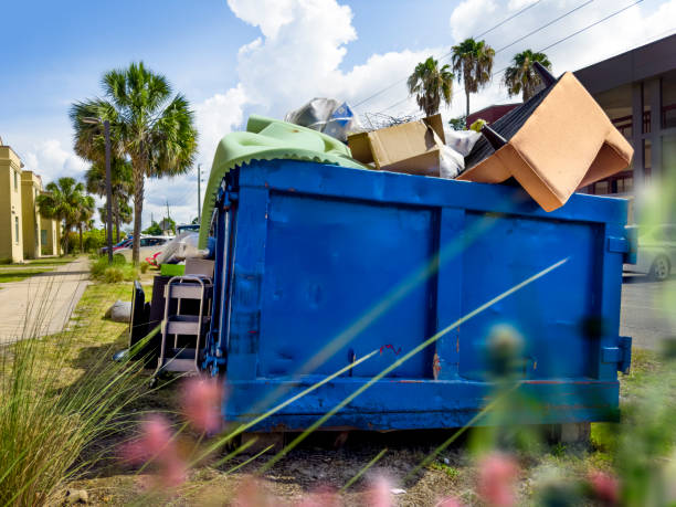 Best Basement Cleanout Services  in San Juan Pistrano, CA